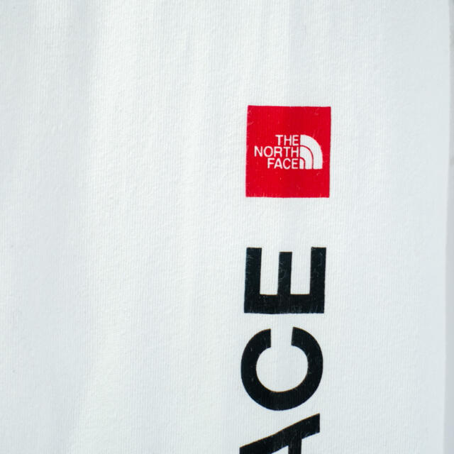 THE NORTH FACE(ザノースフェイス)の欧州限定◆21SS◆ノースフェイス アームプリント　ロンT UK L 日本L相当 メンズのトップス(Tシャツ/カットソー(七分/長袖))の商品写真