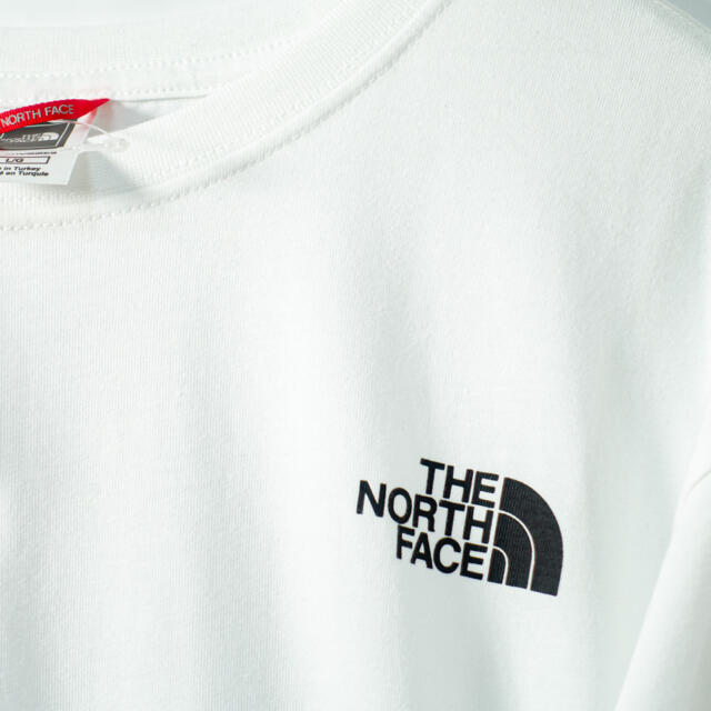 THE NORTH FACE(ザノースフェイス)の欧州限定◆21SS◆ノースフェイス アームプリント　ロンT UK L 日本L相当 メンズのトップス(Tシャツ/カットソー(七分/長袖))の商品写真