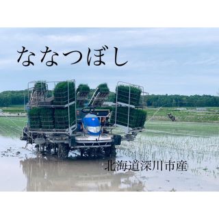 農家直送！北海道米！ななつぼし　10キロ　精米　新米　玄米(米/穀物)