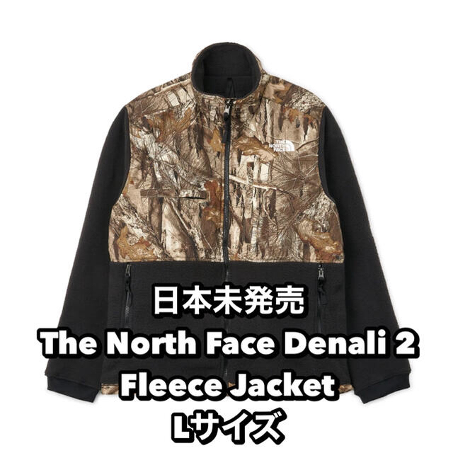 THE NORTH FACE(ザノースフェイス)のThe North Face Denali 2 Fleece Jacket メンズのジャケット/アウター(ブルゾン)の商品写真