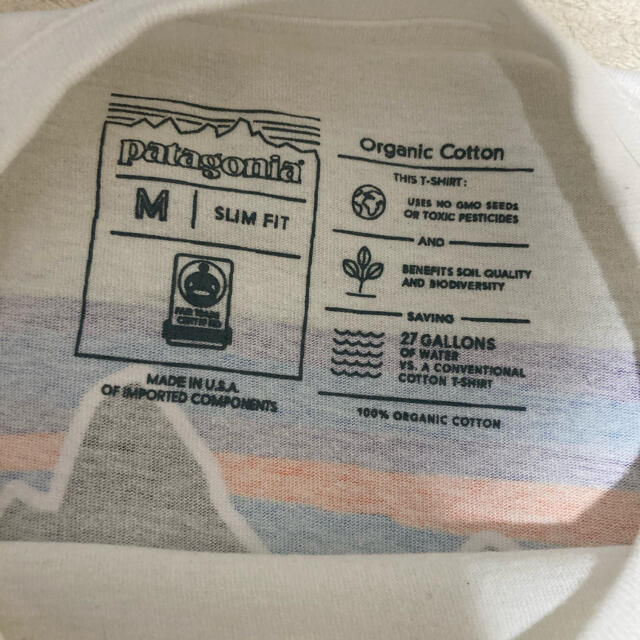 patagonia(パタゴニア)のPatagonia Tシャツ Mサイズ メンズのトップス(Tシャツ/カットソー(半袖/袖なし))の商品写真