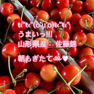 佐藤錦 山形県産さくらんぼ1kgバラ詰め　Mサイズ(フルーツ)