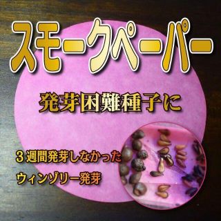  発芽困難種子に　スモークペーパー　一枚　発芽促進　休眠打破　発芽率向上(その他)