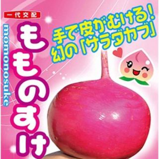 手で皮がむける!幻のサラダカブ もものすけ 種 野菜の種20個(野菜)