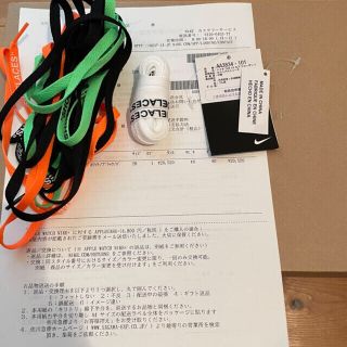 ナイキ(NIKE)のNIKE ナイキ　ネコだけどポチ様専用(スニーカー)