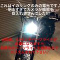 楽天市場】ベーツライト ledの通販