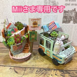 多肉植物の寄せ植え　Miiさま専用オーダーページ(その他)