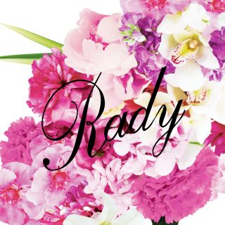 レディー(Rady)のa♡様専用 9日までお取り置き(その他)