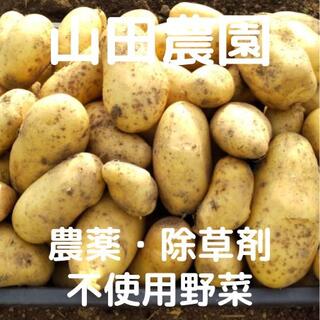 【期間限定】農薬・除草剤不使用のジャガイモ(60サイズ箱)(野菜)