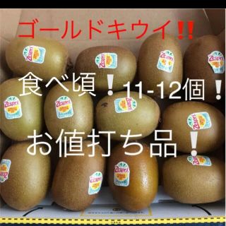 ゴールドキウイ　11-12個　食べ頃(フルーツ)