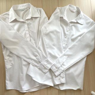 アオヤマ(青山)のカッターシャツ　レディース(シャツ/ブラウス(長袖/七分))