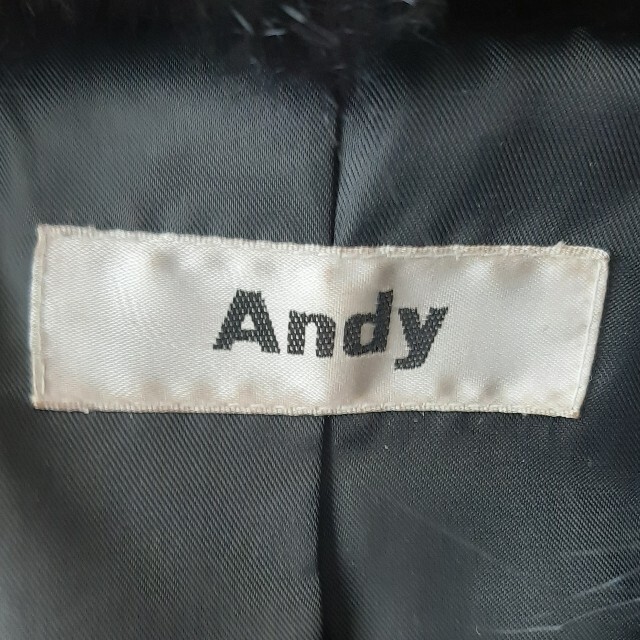 Andy(アンディ)のAndy　コート レディースのジャケット/アウター(毛皮/ファーコート)の商品写真