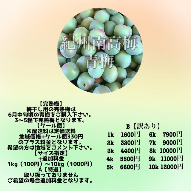 【訳あり】完熟梅 11kg Lサイズ 紀州南高梅 食品/飲料/酒の食品(フルーツ)の商品写真