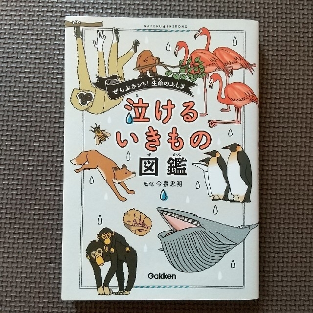 学研(ガッケン)の【✱すもも様 専用✱】泣けるいきもの図鑑  ざんねんないきもの事典  続 〜 エンタメ/ホビーの本(その他)の商品写真