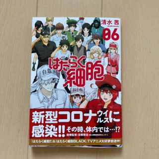 はたらく細胞　6巻　(青年漫画)