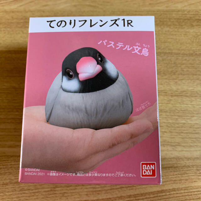 てのりフレンズ1R シナモン文鳥  パステル文鳥 エンタメ/ホビーのおもちゃ/ぬいぐるみ(キャラクターグッズ)の商品写真