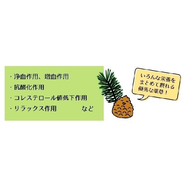 🍀大好評✨松の葉（生）100g🍀 食品/飲料/酒の健康食品(健康茶)の商品写真