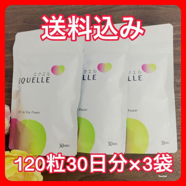 感謝価格】 エクエル パウチ 120粒30日分×3袋セット 新品未開封