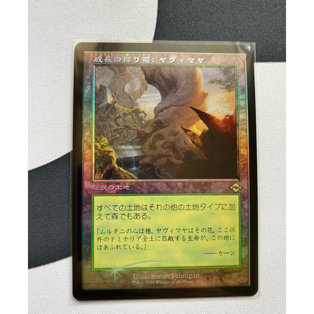 MTG 成長の揺り篭、ヤヴィマヤ　旧枠　foil ドラフトブースター産