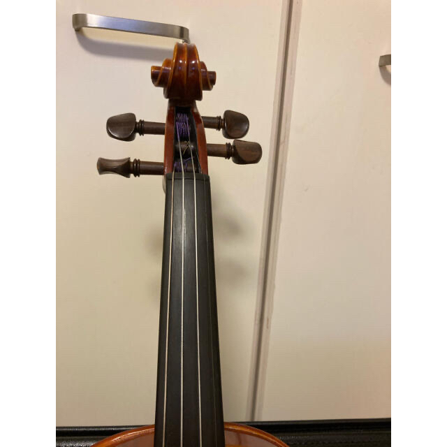 2021春夏新色】 VINCENZO ANNRUMMA Salerno II バイオリン 4 pebtech