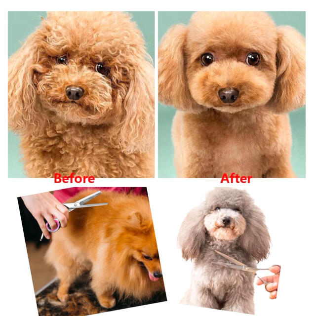 トリミングセット　ペット　トリミング　散髪　犬　シザーセット その他のペット用品(犬)の商品写真