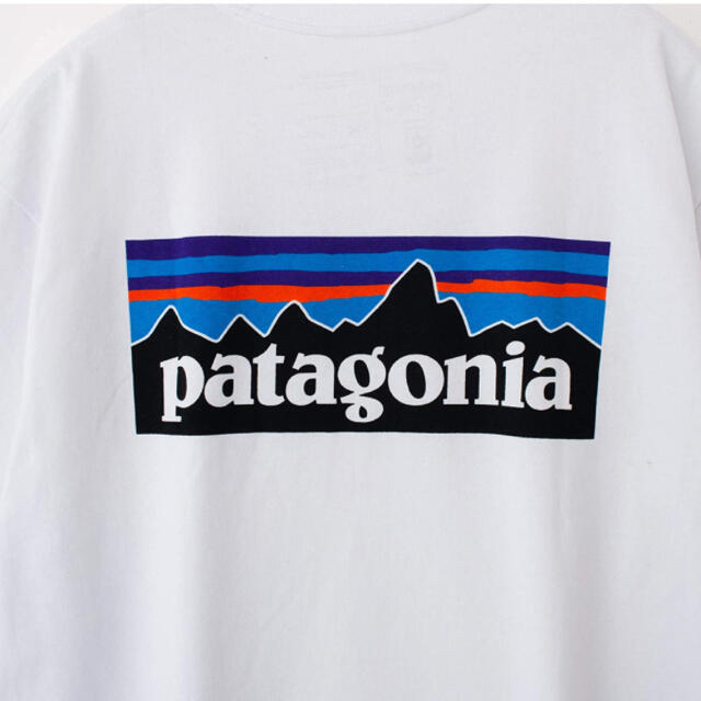 patagonia(パタゴニア)のパタゴニア patagonia ・P-6ロゴ　レスポンシビリティー レディースのトップス(Tシャツ(半袖/袖なし))の商品写真