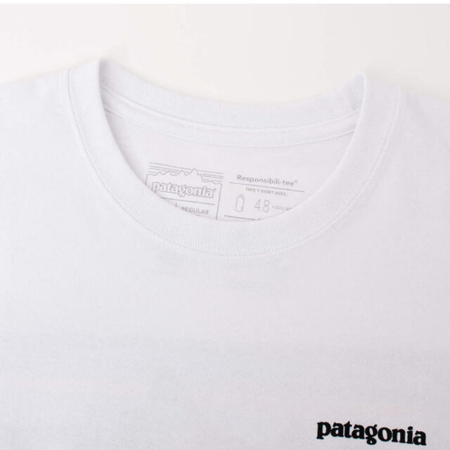 patagonia(パタゴニア)のパタゴニア patagonia ・P-6ロゴ　レスポンシビリティー レディースのトップス(Tシャツ(半袖/袖なし))の商品写真