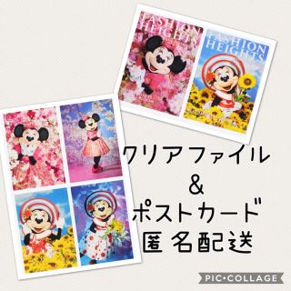 ディズニー(Disney)のディズニー　イマジニングザマジック　ミニー　ポストカード&クリアファイル　セット(キャラクターグッズ)