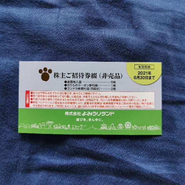 みいちゃん専用　よみうりランド入園セット券 チケットの施設利用券(遊園地/テーマパーク)の商品写真