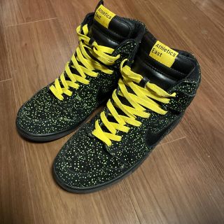 ナイキ(NIKE)のNIKE DUNK HI ナイキ ダンク 28cm(スニーカー)