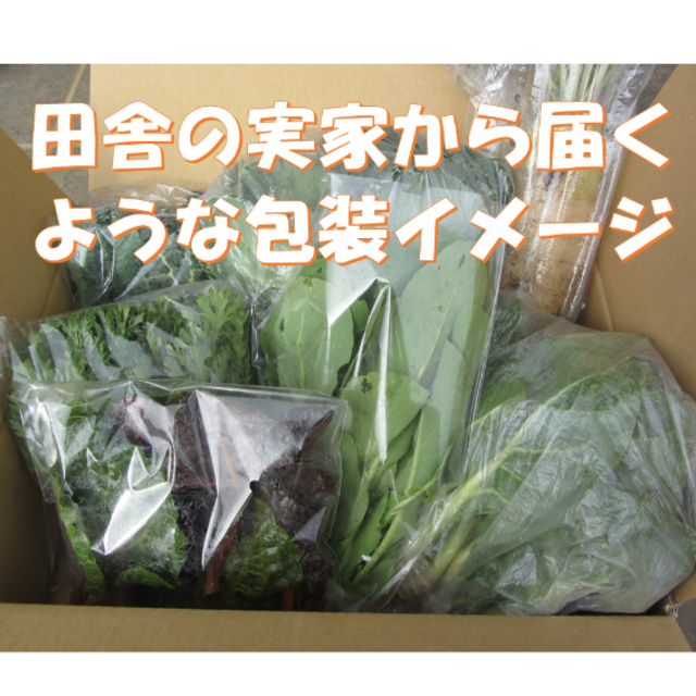 everyhappy様専用　春～夏野菜の詰め合わせ　７０サイズにて 食品/飲料/酒の食品(野菜)の商品写真