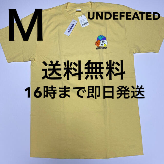 UNDEFEATED(アンディフィーテッド)のアンディフィーテッド UNDEFEATED GLOBALLS S/S TEE メンズのトップス(Tシャツ/カットソー(半袖/袖なし))の商品写真