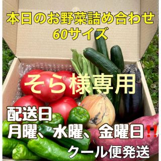 【産地直送‼️お野菜セット‼️】(野菜)