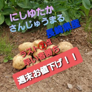 長崎県産 にしゆたか・さんじゅうまる B品 箱込み10キロ(野菜)