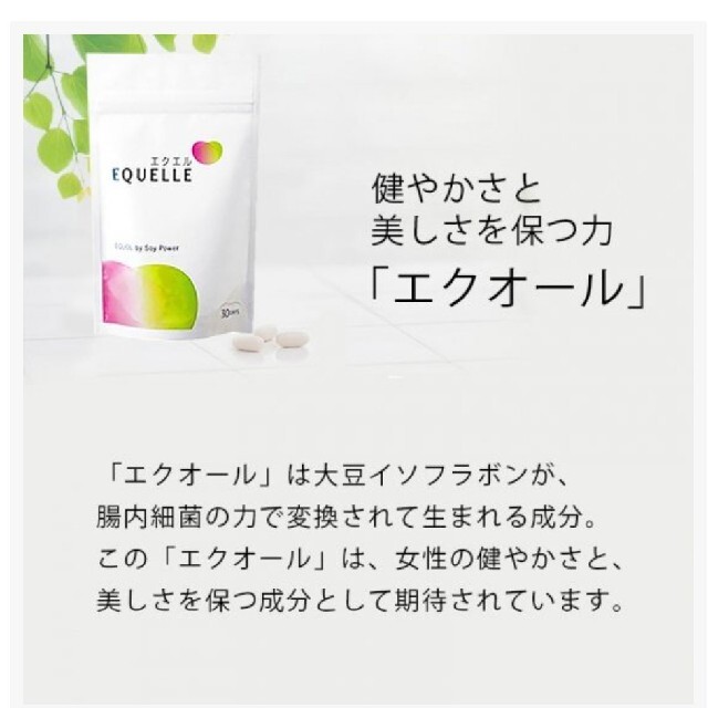 大塚製薬 エクエル 30日分 120粒 2袋 2