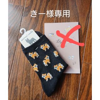 新品 柴犬 ソックス 2種類(ソックス)