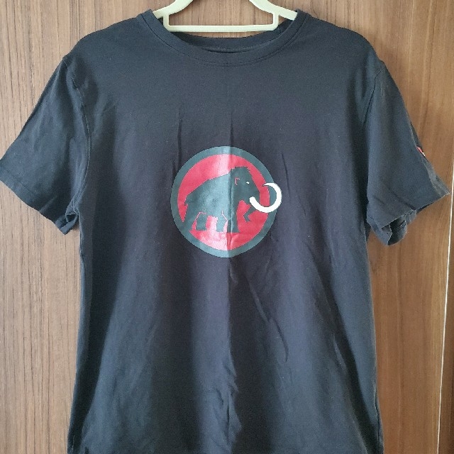 Mammut(マムート)のMAMMUT 　マムート　Tシャツ メンズのトップス(Tシャツ/カットソー(半袖/袖なし))の商品写真