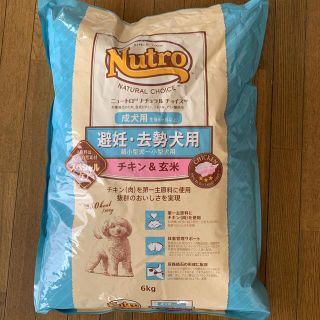 ニュートロ　ナチュラルチョイス　避妊・去勢犬用　成犬用　6kg(ペットフード)