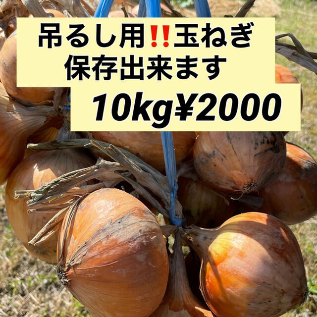 【吊るして保存出来る‼️玉ねぎ10k入】 食品/飲料/酒の食品(野菜)の商品写真