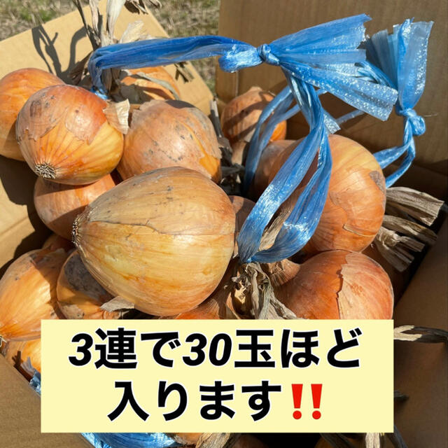 【吊るして保存出来る‼️玉ねぎ10k入】 食品/飲料/酒の食品(野菜)の商品写真