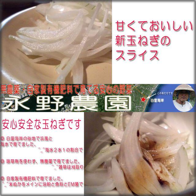 ☆無農薬野菜 有機肥料で作る安心安全な白里海岸の新玉ねぎ 5kg☆ 食品/飲料/酒の食品(野菜)の商品写真