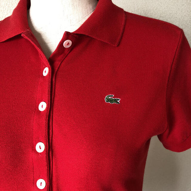 LACOSTE(ラコステ)のラコステレディースポロシャツ美品❣️ レディースのトップス(ポロシャツ)の商品写真