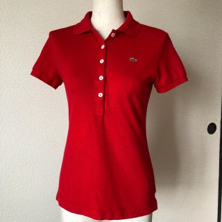 ラコステ(LACOSTE)のラコステレディースポロシャツ美品❣️(ポロシャツ)