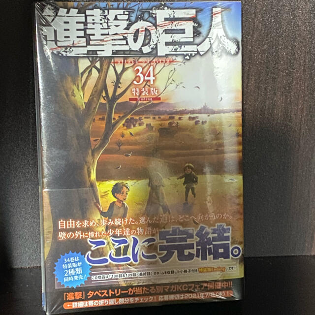 講談社 アース様専用 2冊進撃の巨人 34巻 Ending の通販 By Ff S Shop コウダンシャならラクマ 講談社 アース様専用 2冊進撃の巨人 34巻 Ending の通販 By Ff S Shop コウダンシャならラクマ