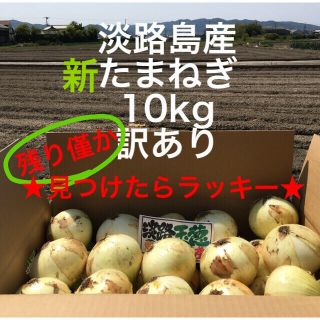 見つけたらラッキー★ 個数限定出荷　淡路島産　新たまねぎ　訳あり 10kg (野菜)