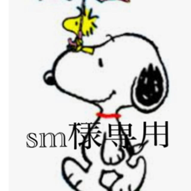 SNOOPY(スヌーピー)のsm様専用♡スヌーピ不織布マスクカバー ハンドメイドのファッション小物(その他)の商品写真