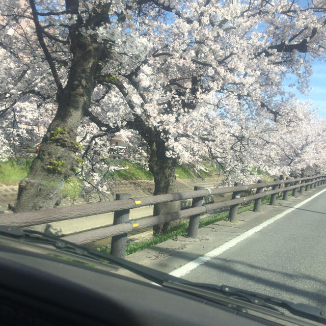 高級素材使用ブランド RedAnn's様専用 スニーカー - dvalima.com.br