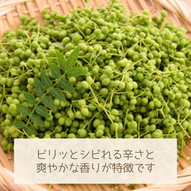 【期間限定】青山椒 約200g 無農薬 青森県産 2021年産 食品/飲料/酒の食品(野菜)の商品写真