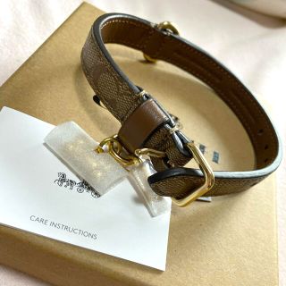 COACH - 【週末限定値下】COACH♡小型犬用首輪の通販 by sale