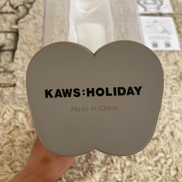 KAWS Holiday Brown